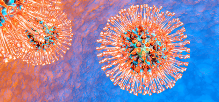 GeneProof® Cytomegalovirus (CMV) PCR Kit