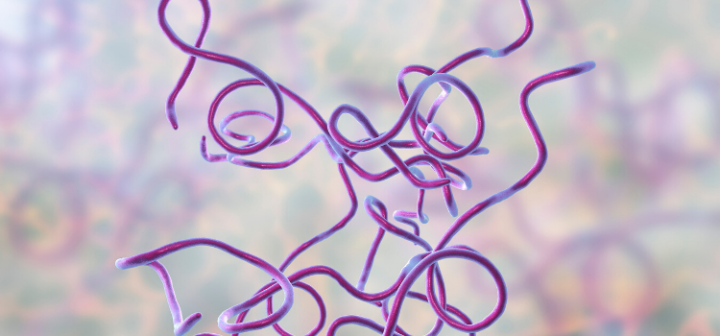 GeneProof Borrelia PCR Kit