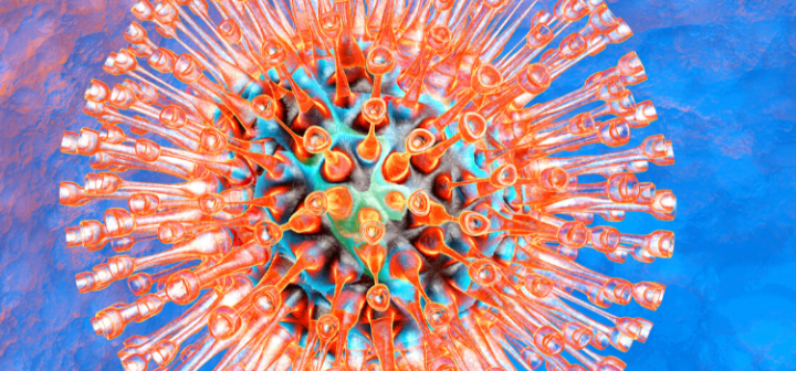 GeneProof Herpes Simplex Virus (HSV-1/2) PCR Kit
