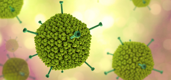 GeneProof Adenovirus PCR Kit