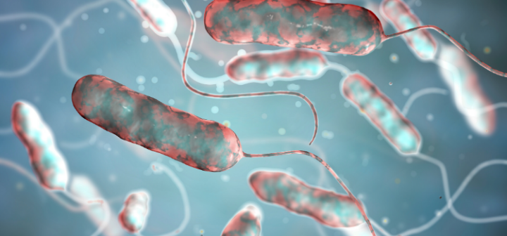 GeneProof Mycoplasma pneumoniae PCR Kit
