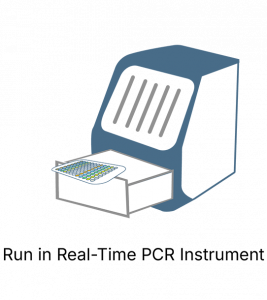 IDH1/2 Mutation Detection Kit