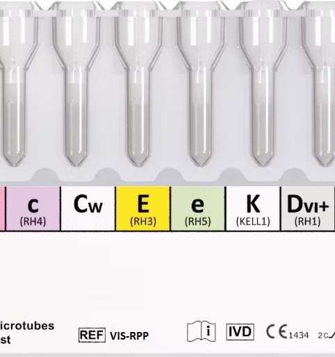 RH PHENOTYPE PLUS